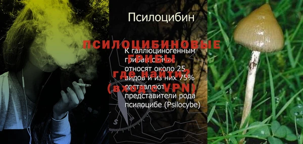 jwh Аркадак