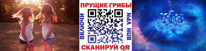 Галлюциногенные грибы MAGIC MUSHROOMS  Приозерск 